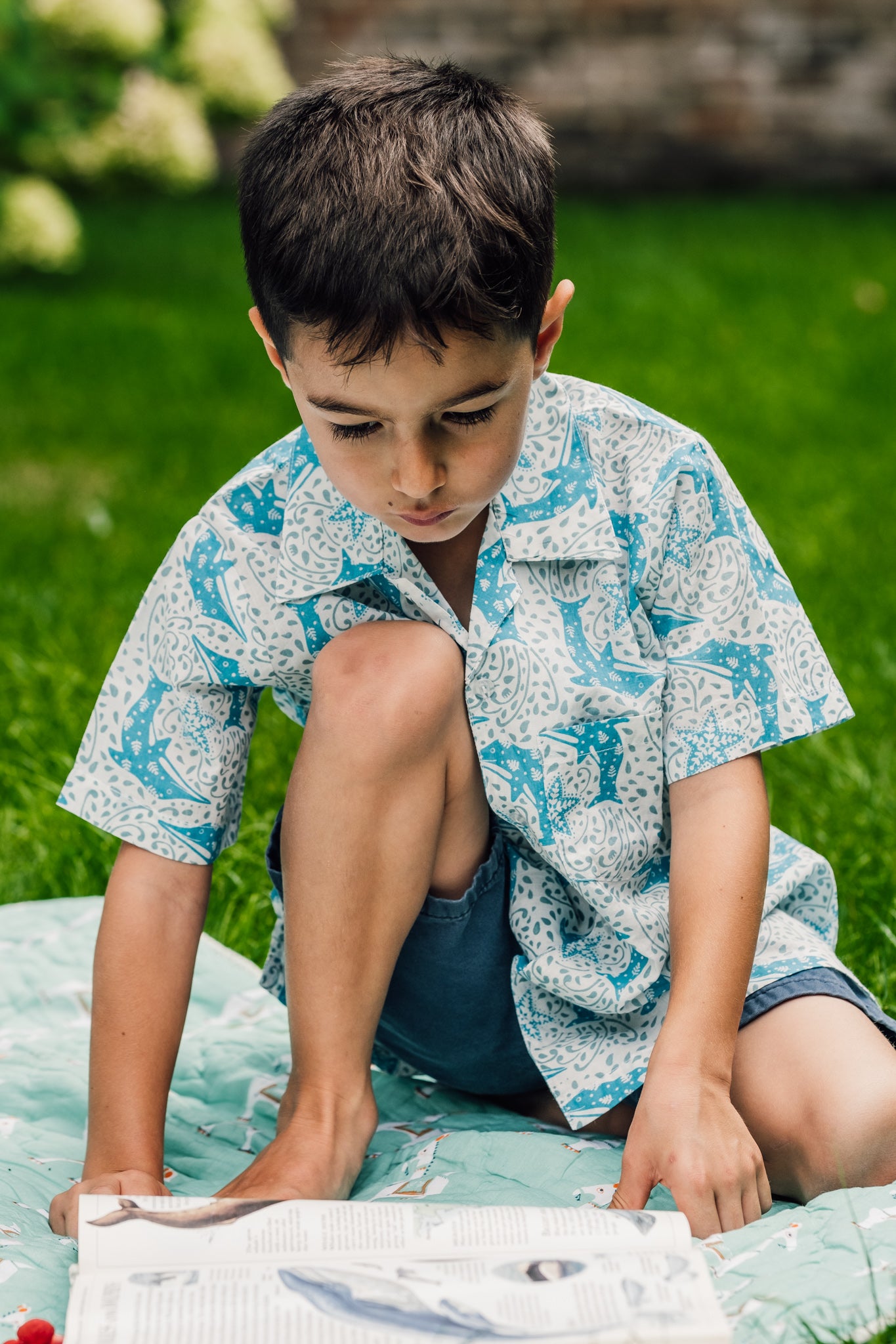 Boys Cotton Shirt in Blue Dolphin Print