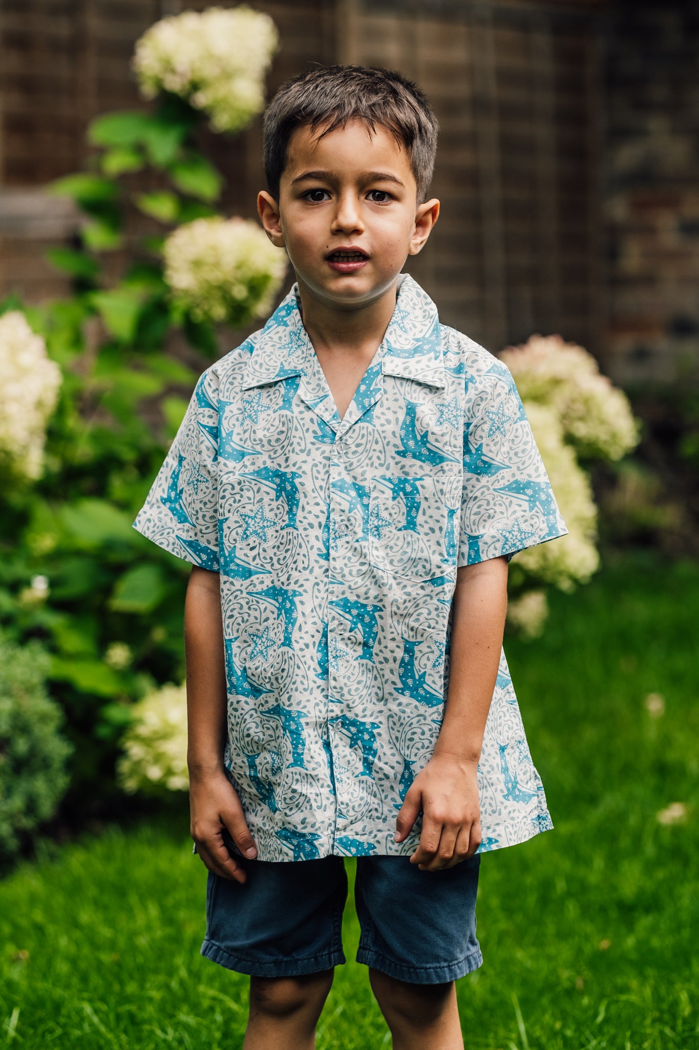 Boys Cotton Shirt in Blue Dolphin Print